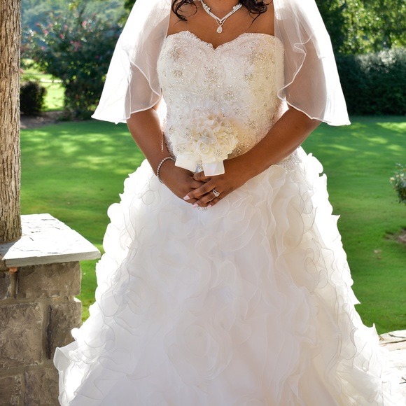 Davids Bridal Wedding Gown - Picture 2 of 6